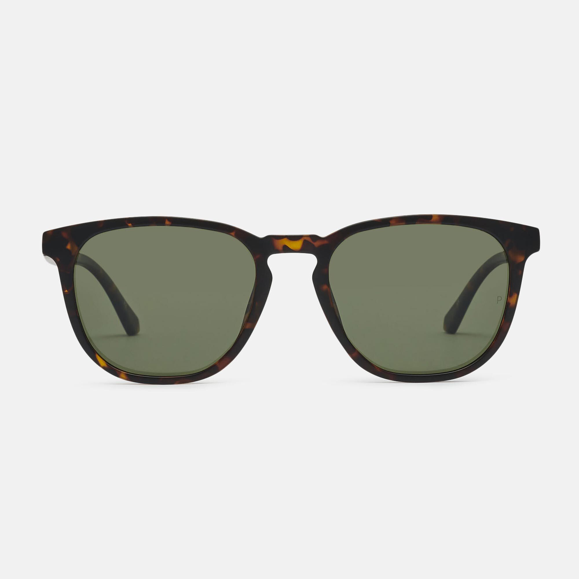 Wildgo PRINCETON SUN