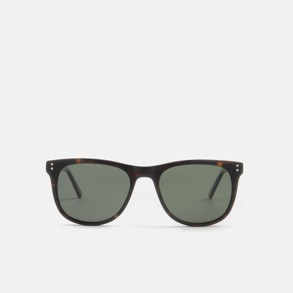 m&oacute; X SILBON TANOK SUN, dark carey, large