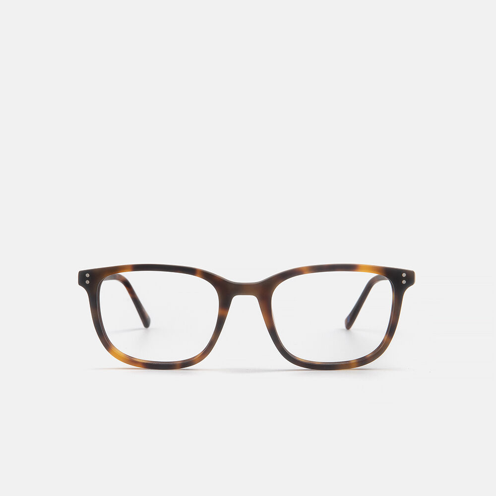 X SILBON NAHUEL, carey, large