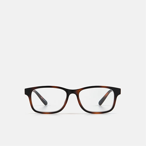 m&oacute; FRANK, carey, medium