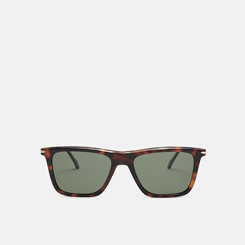 m&oacute; CACTUS SUN