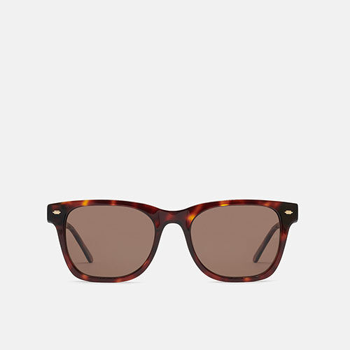 m&oacute; FITZ SUN, carey, medium