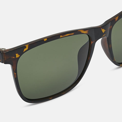 Wildgo PENSILVANIA SUN