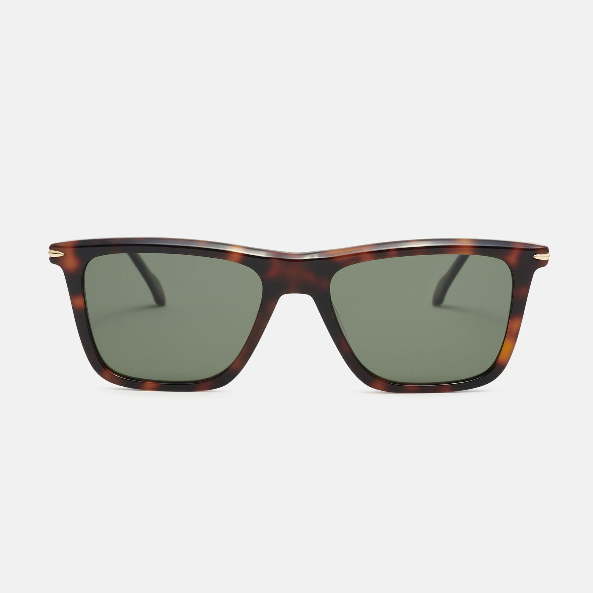 m&oacute; CACTUS SUN