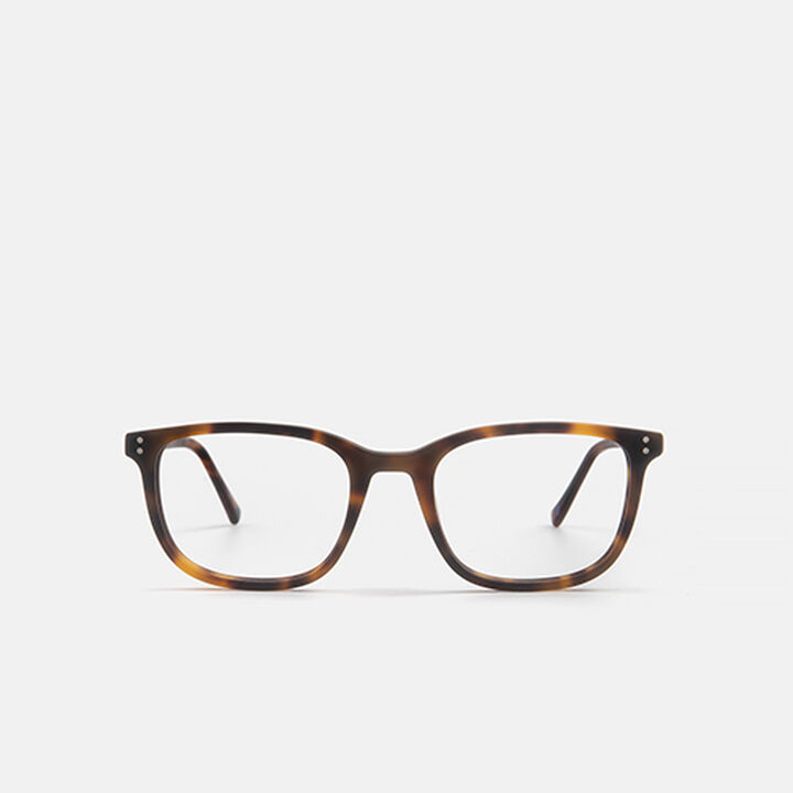 X SILBON NAHUEL, carey X SILBON NAHUEL, carey, medium