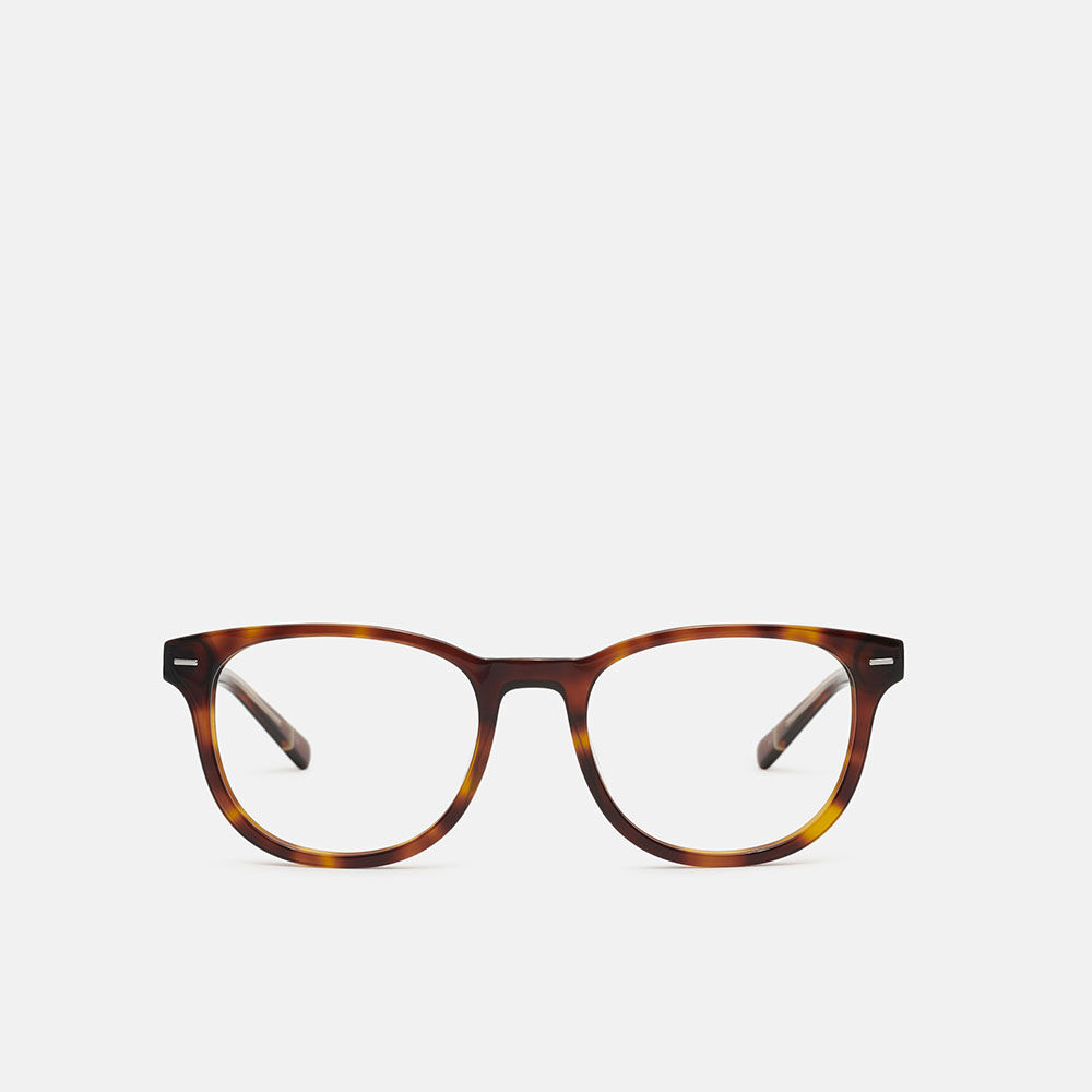 m&oacute; SHIVAJI, carey, large