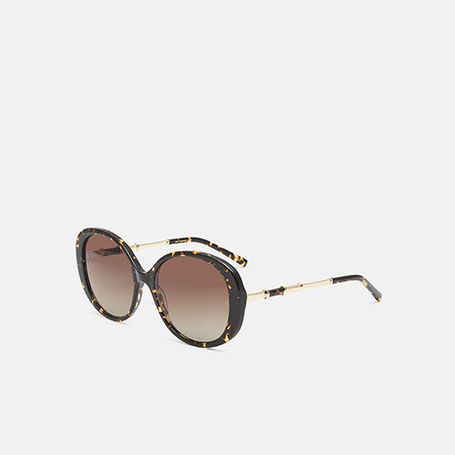 m&oacute; YUMMA SUN, dark carey, medium