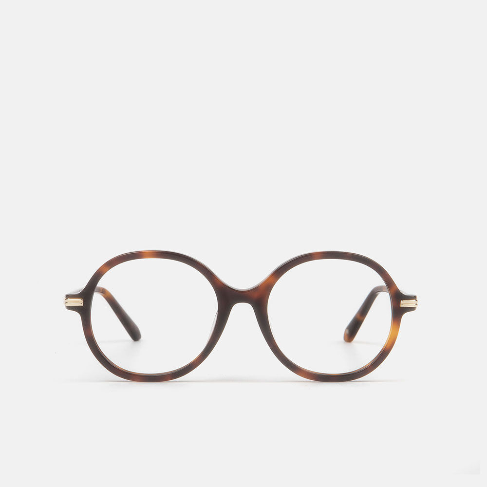 m&oacute; NUPTSE, carey, large