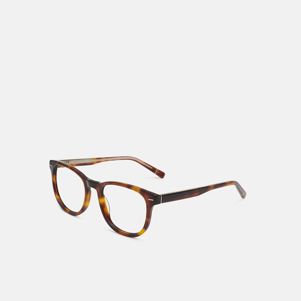 m&oacute; SHIVAJI, carey, large