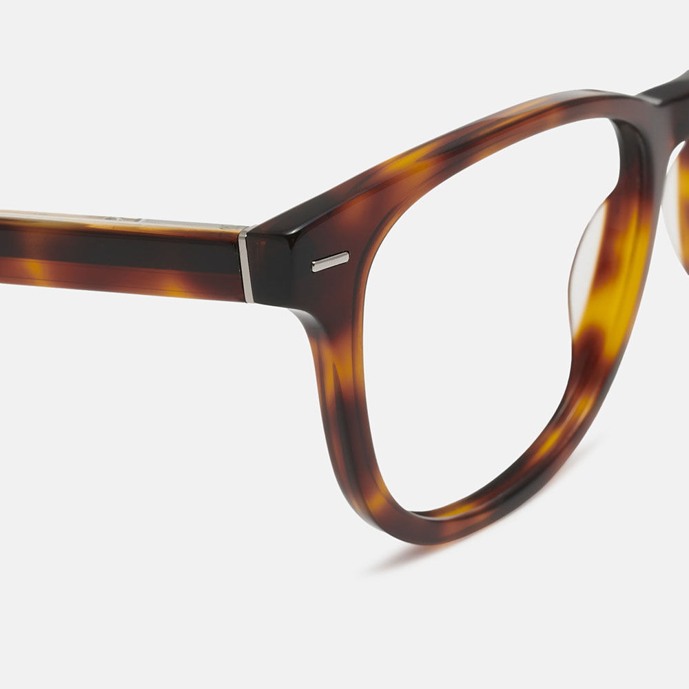 m&oacute; SHIVAJI, carey, large