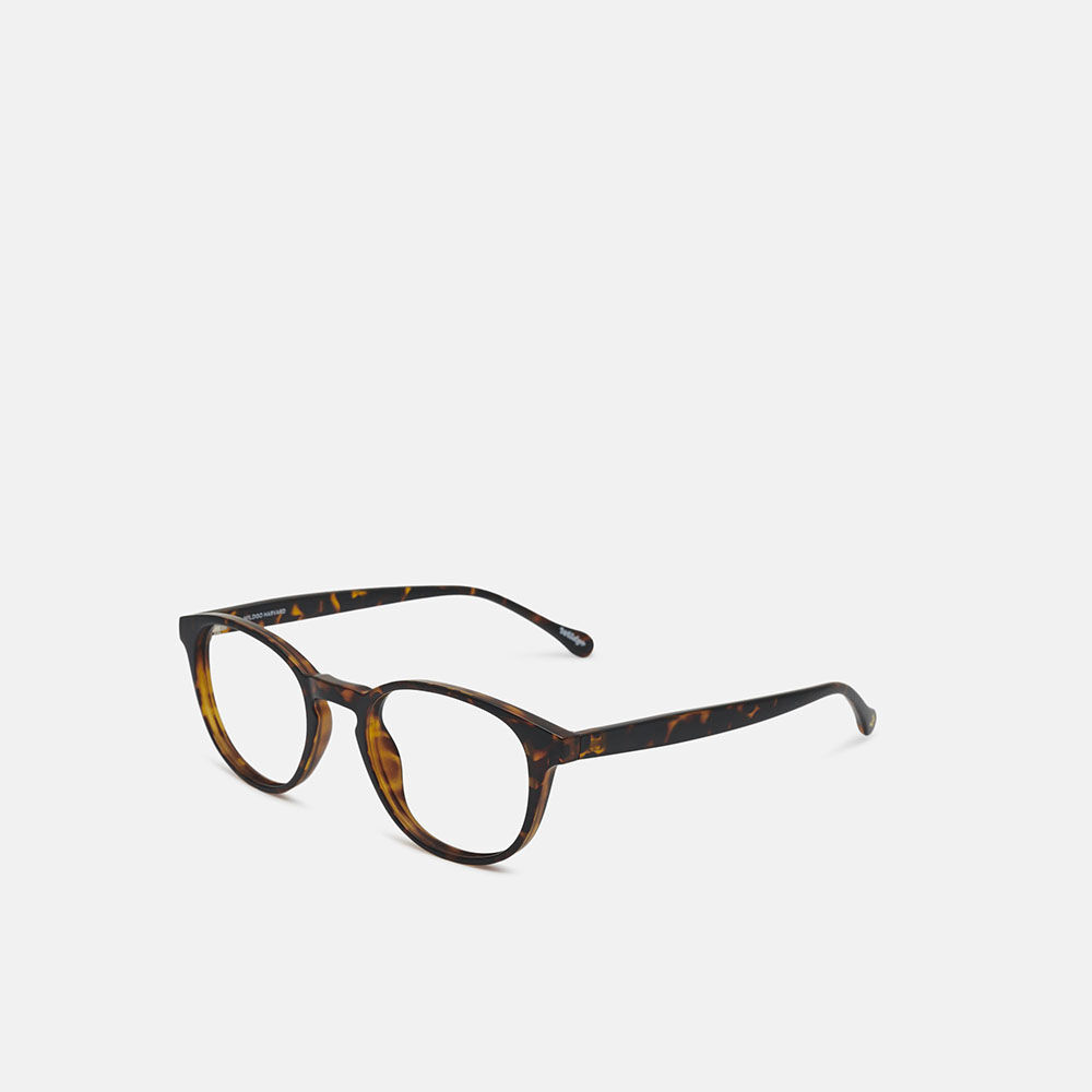 Wildgo HARVARD, carey, large