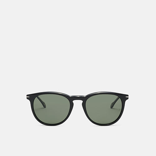 m&oacute; CLEMATIS SUN