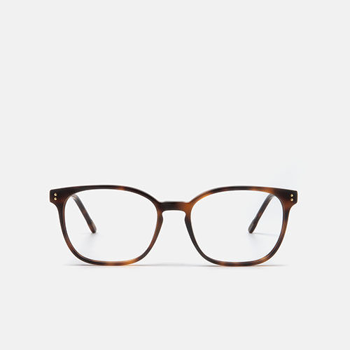 m&oacute; BRAS XL, carey, medium