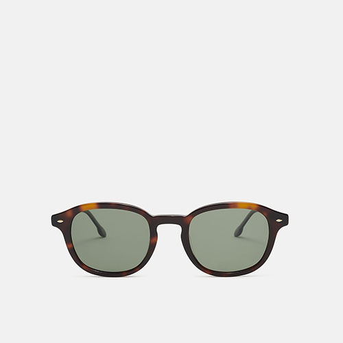 m&oacute; CLEMATIS SUN, carey, medium