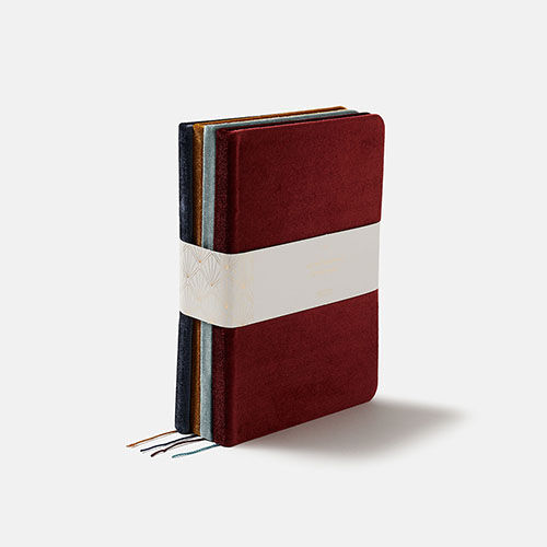 SET DE 4 CUADERNOS ECLAT