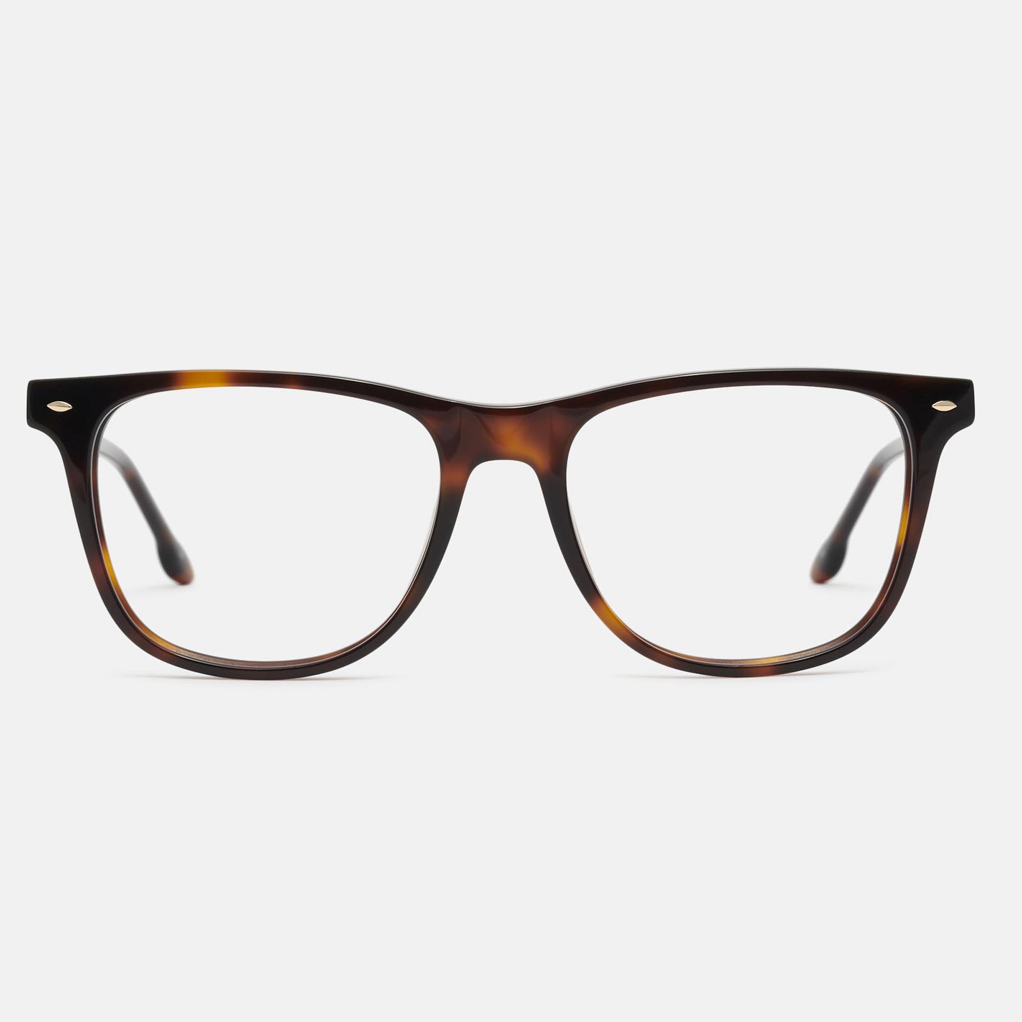 m&oacute; JAZMIN, carey, large image number 0