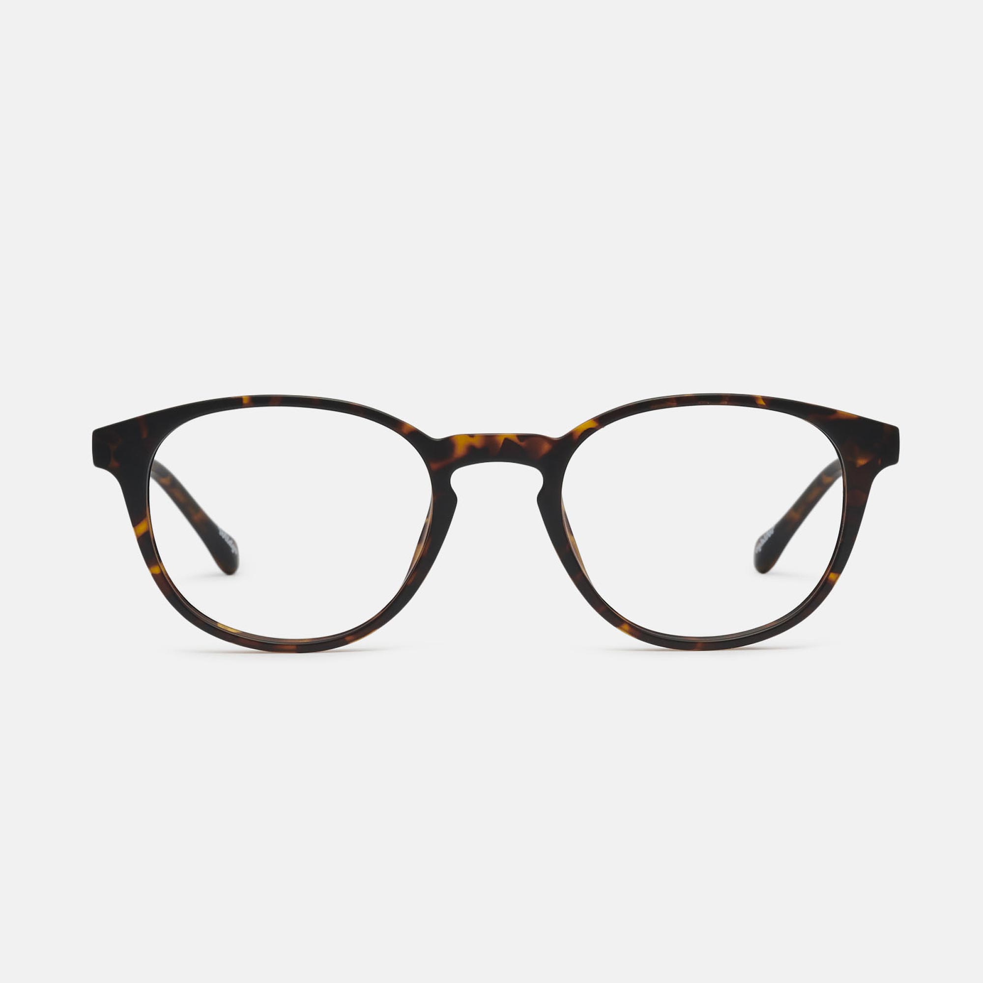 Wildgo HARVARD, carey, large image number 0