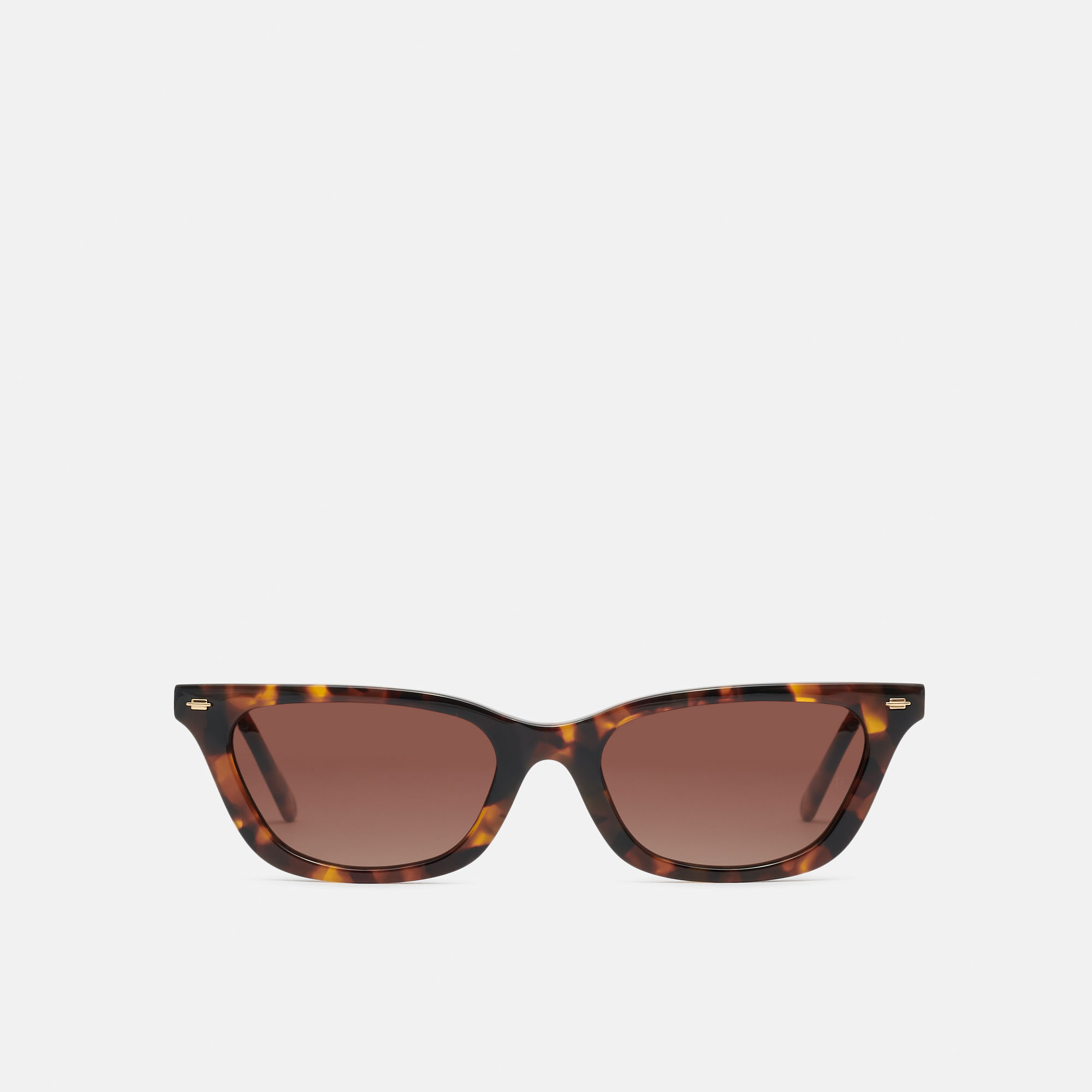 mó BIJOU SUN, carey, hi-res