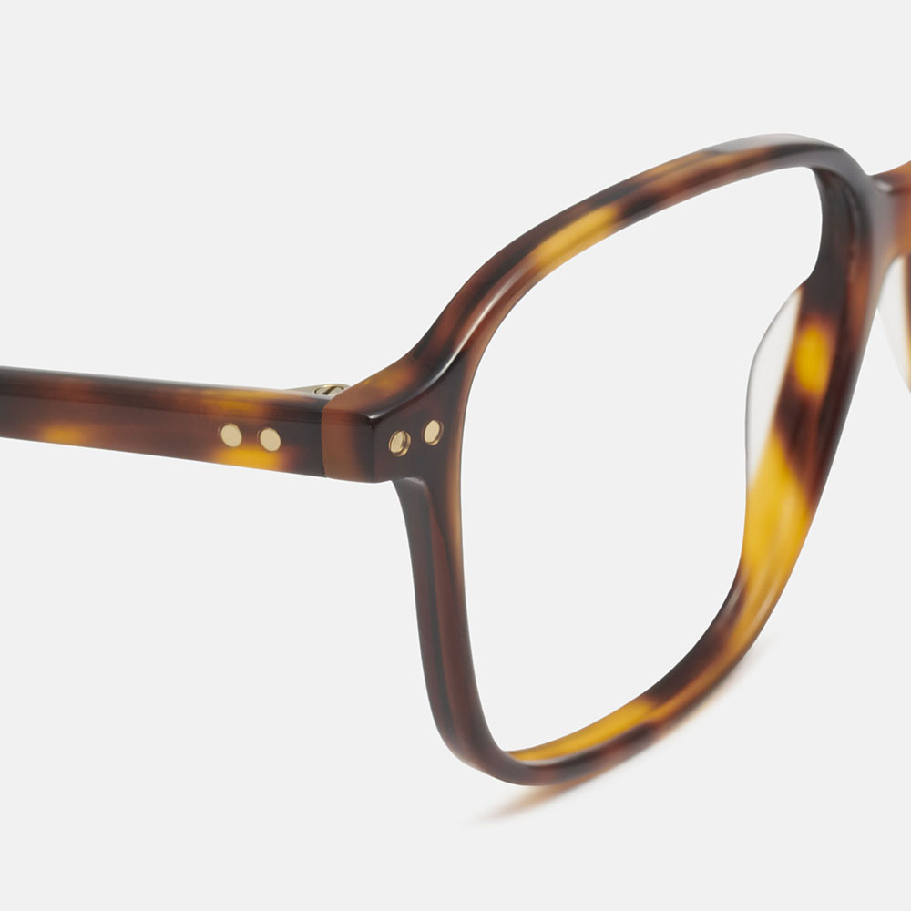 m&oacute; SOUTHERN, carey, large image number 2