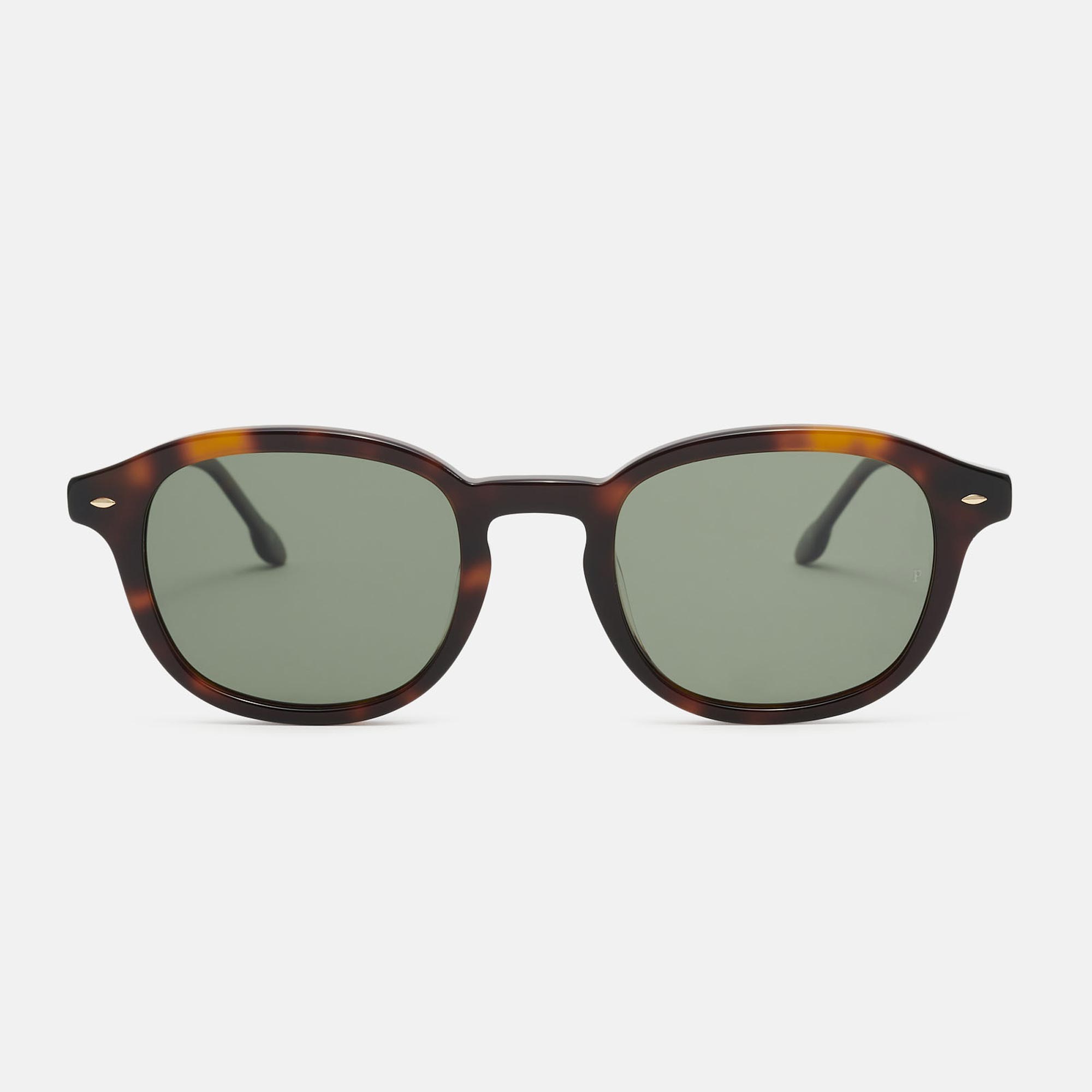 m&oacute; CLEMATIS SUN, carey, large image number 0