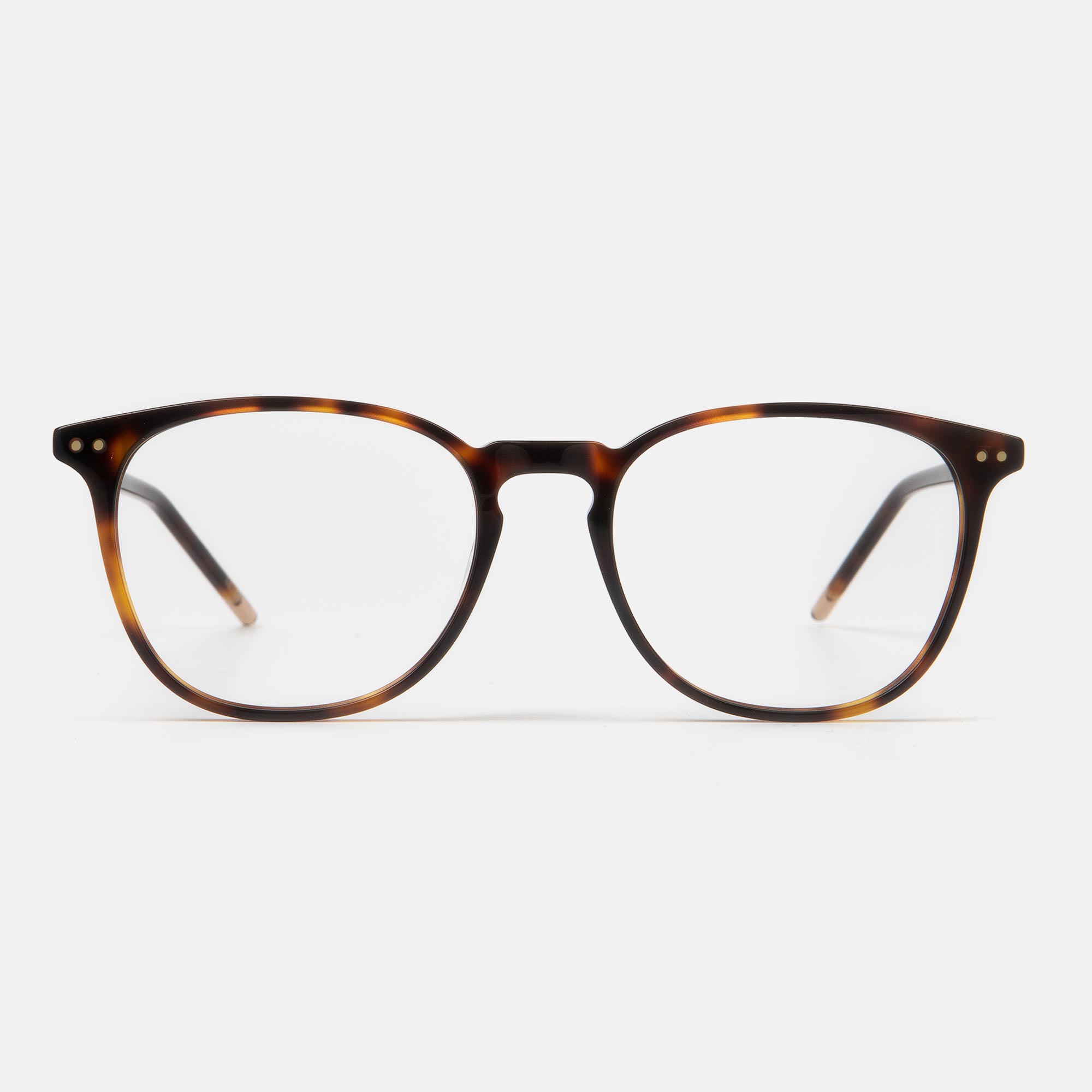 m&oacute; GULL, carey, large image number 0