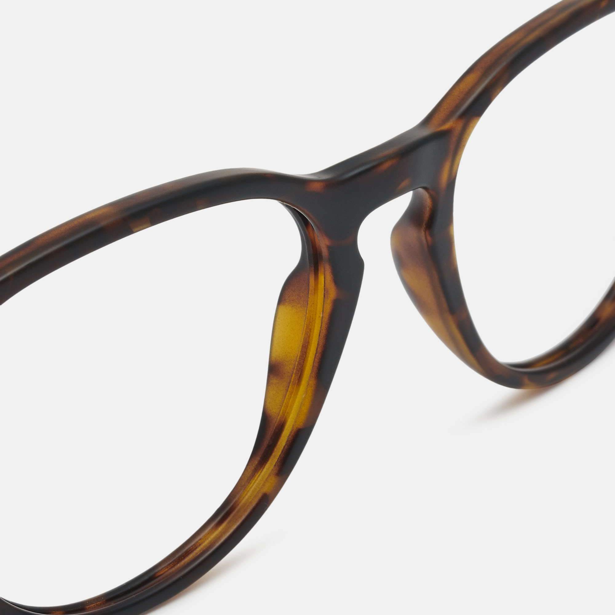 Wildgo YALE, carey, hi-res