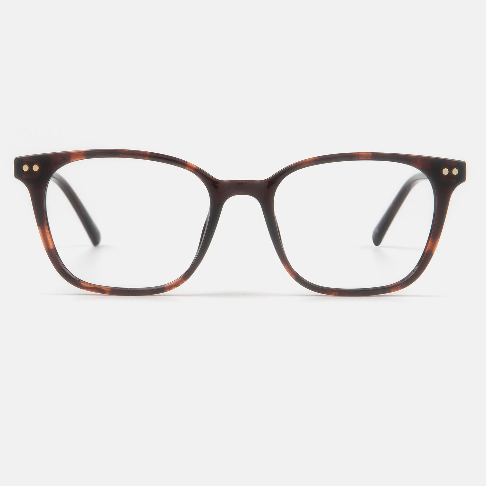 m&oacute; TARAVELLA, carey, large image number 1