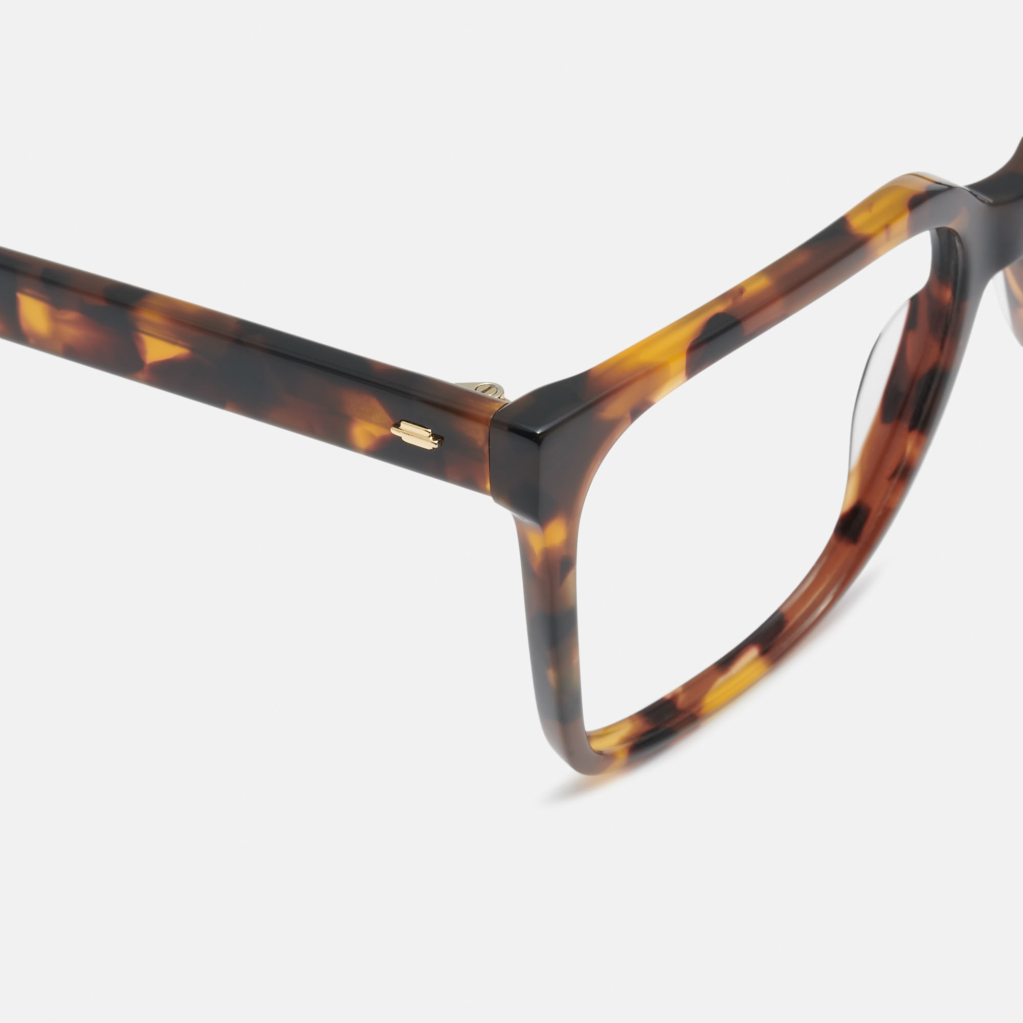 mó CLOCHE, carey, hi-res