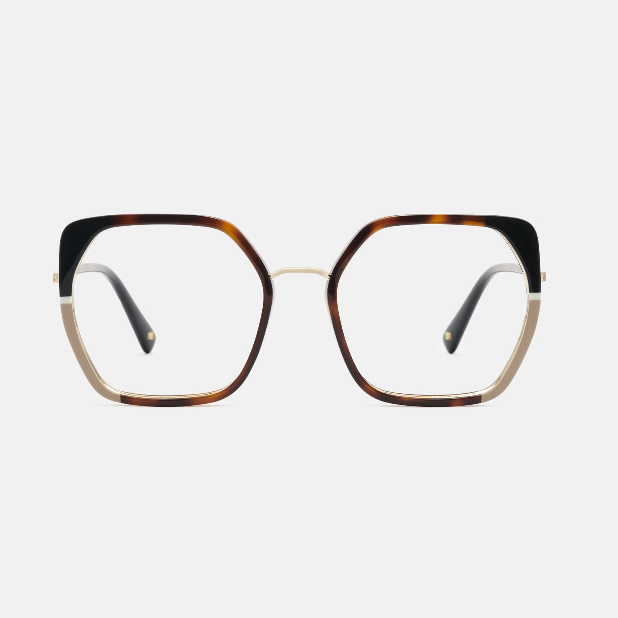 m&oacute; CANFRANC, carey, large image number 0