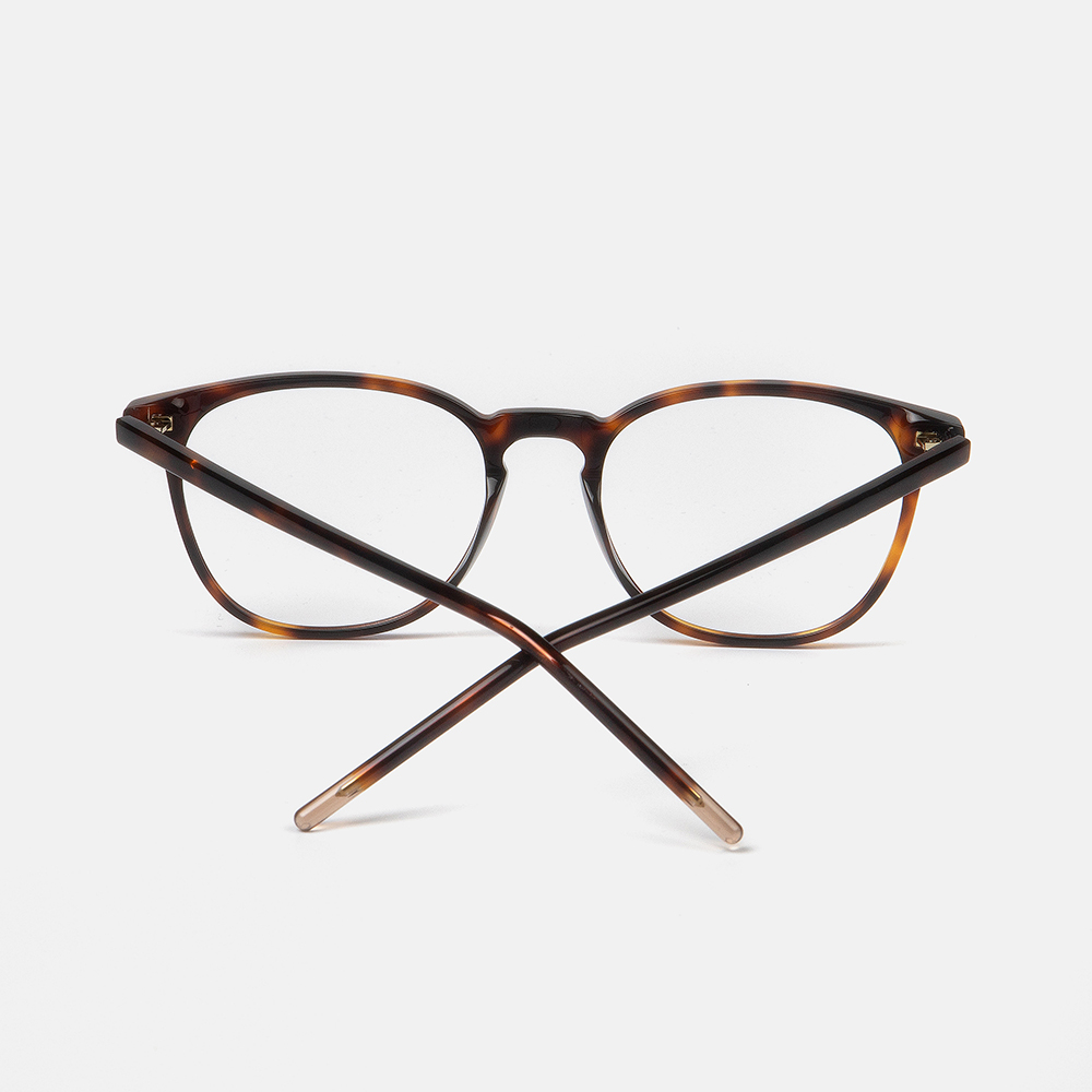 m&oacute; GULL, carey, large image number 2