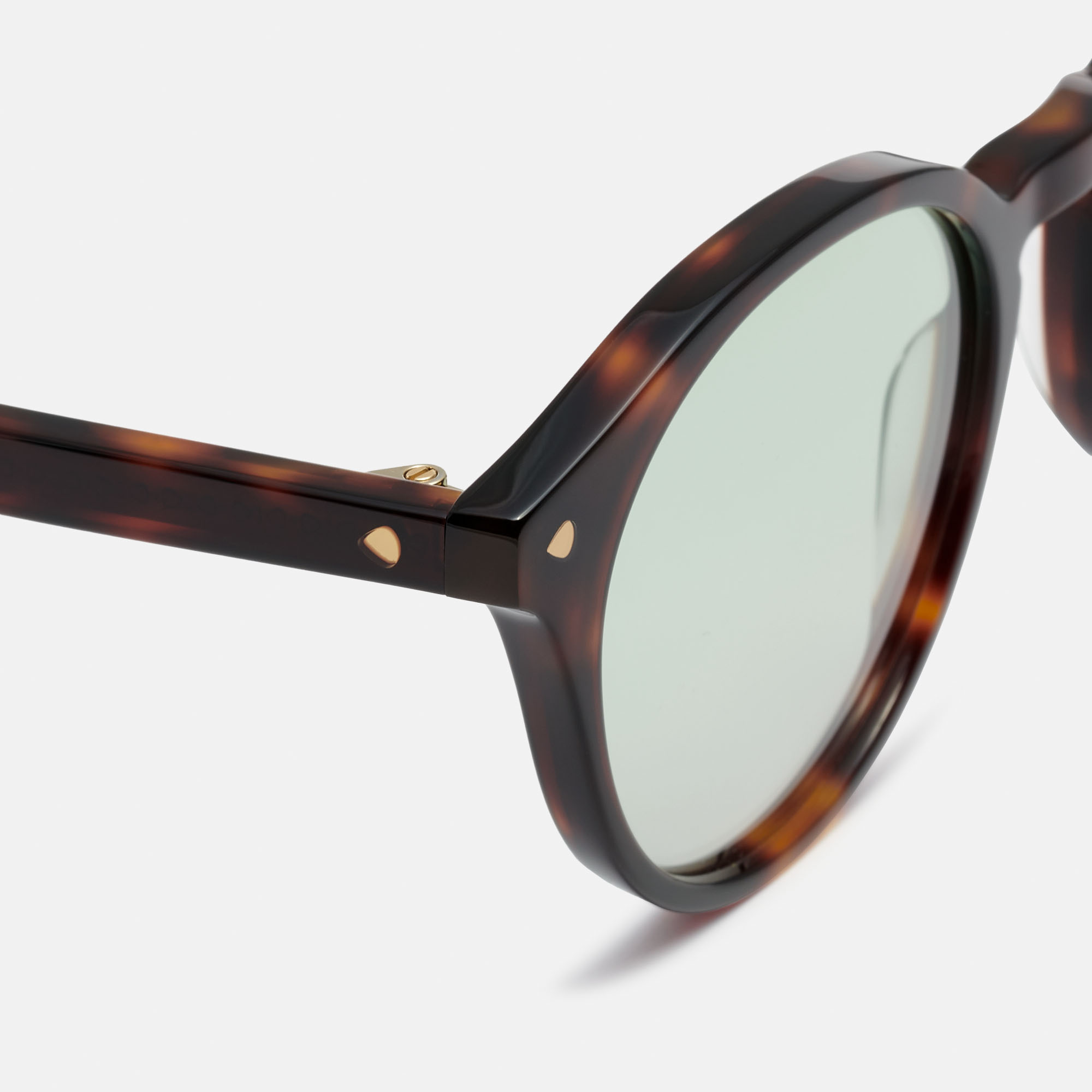 m&oacute; RANI SUN, carey, large image number 2