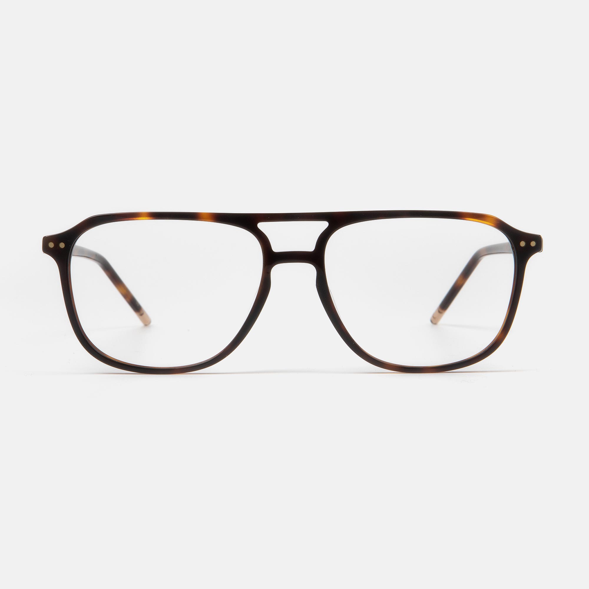 m&oacute; TERN, carey, large image number 0