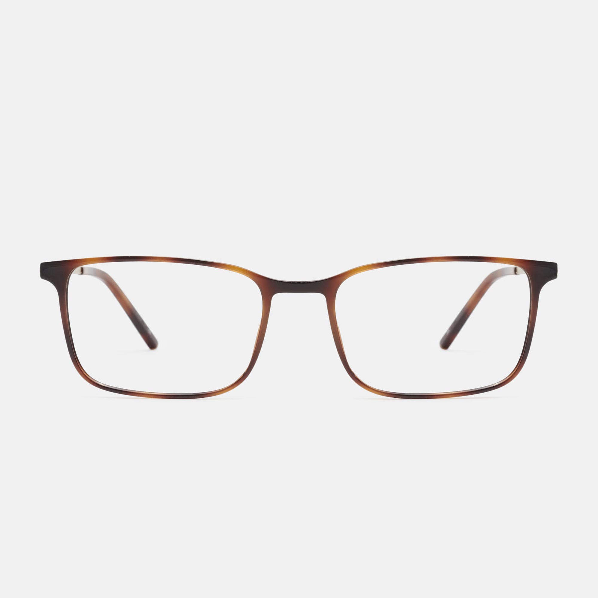 NOREN MONEO, carey/gold, large image number 0