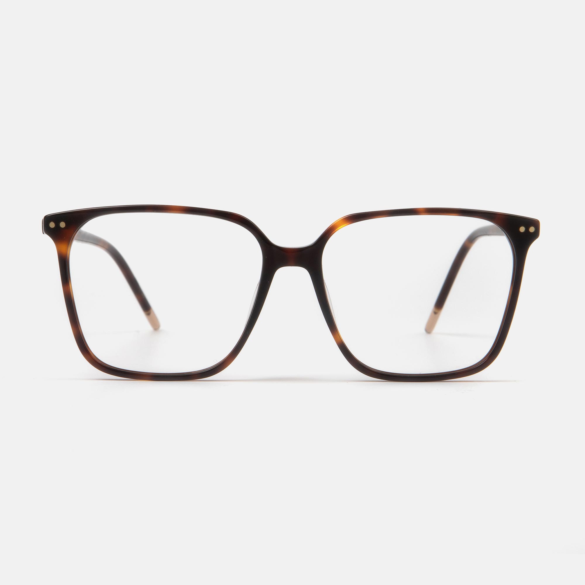 m&oacute; CHICKADEE, carey, large image number 0