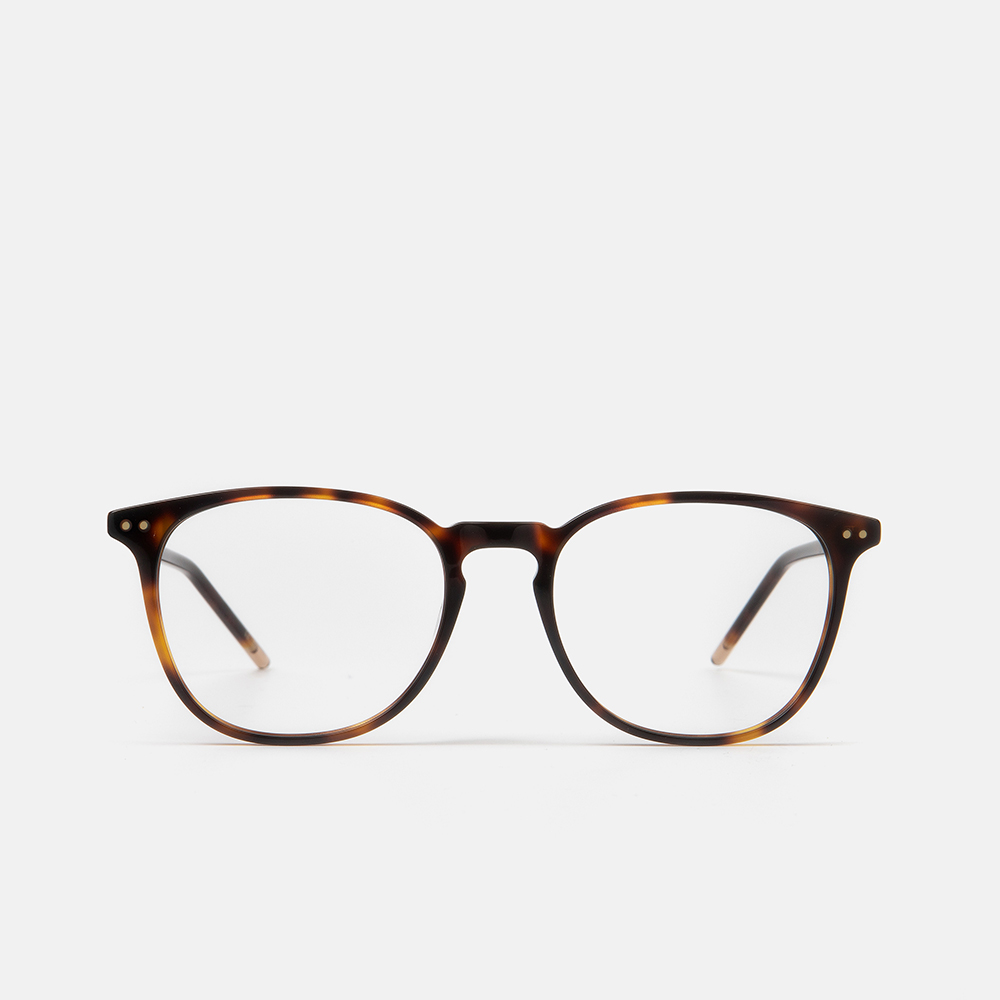 m&oacute; GULL, carey, large image number 0