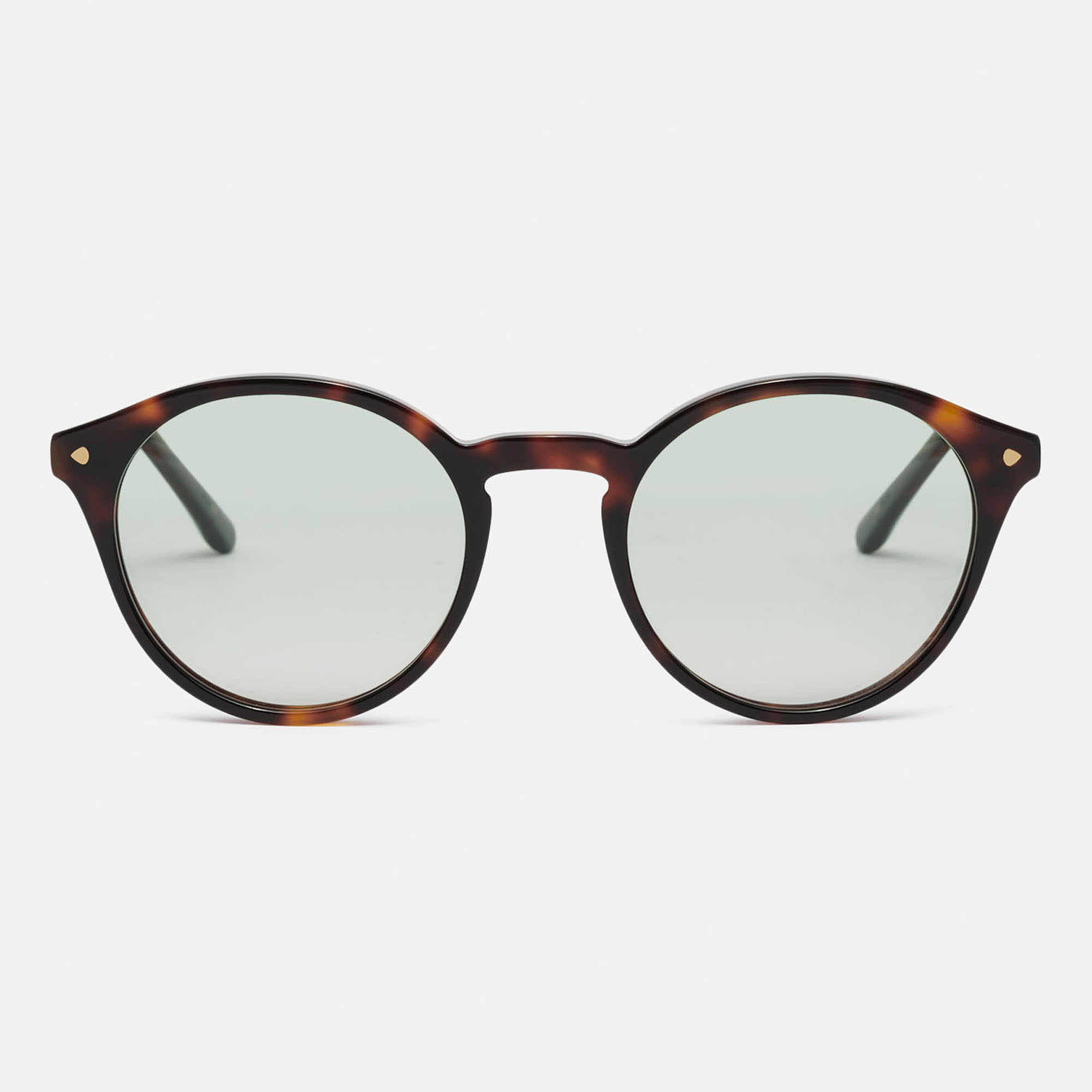 m&oacute; RANI SUN, carey, large image number 0