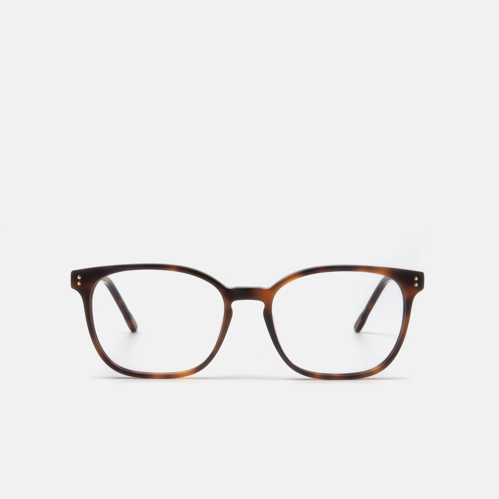 mó BRAS XL, carey, hi-res