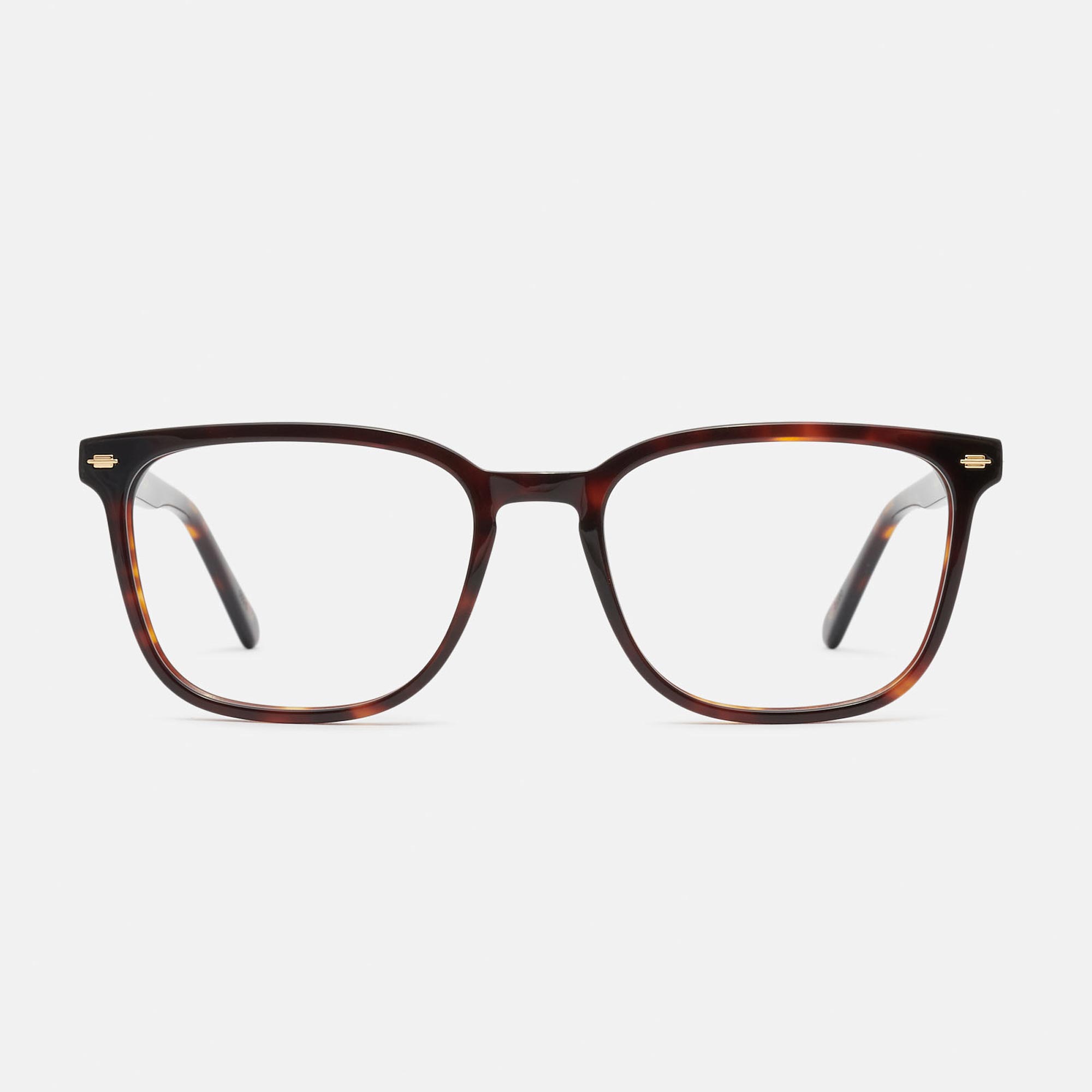 m&oacute; MOULIN, carey, large image number 0