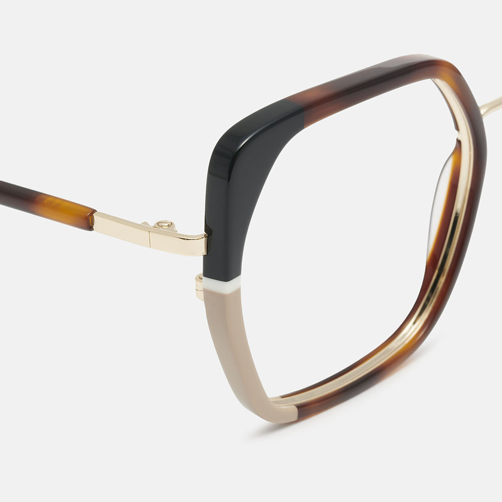 m&oacute; CANFRANC, carey, large image number 2