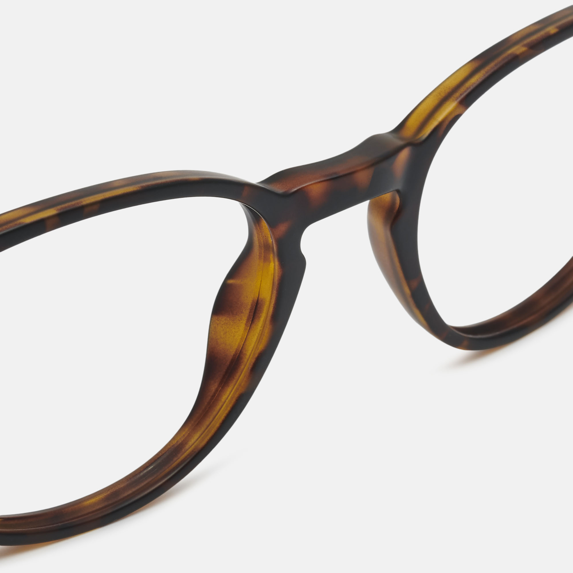 Wildgo HARVARD, carey, hi-res