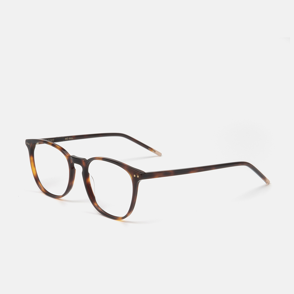 m&oacute; GULL, carey, large image number 1