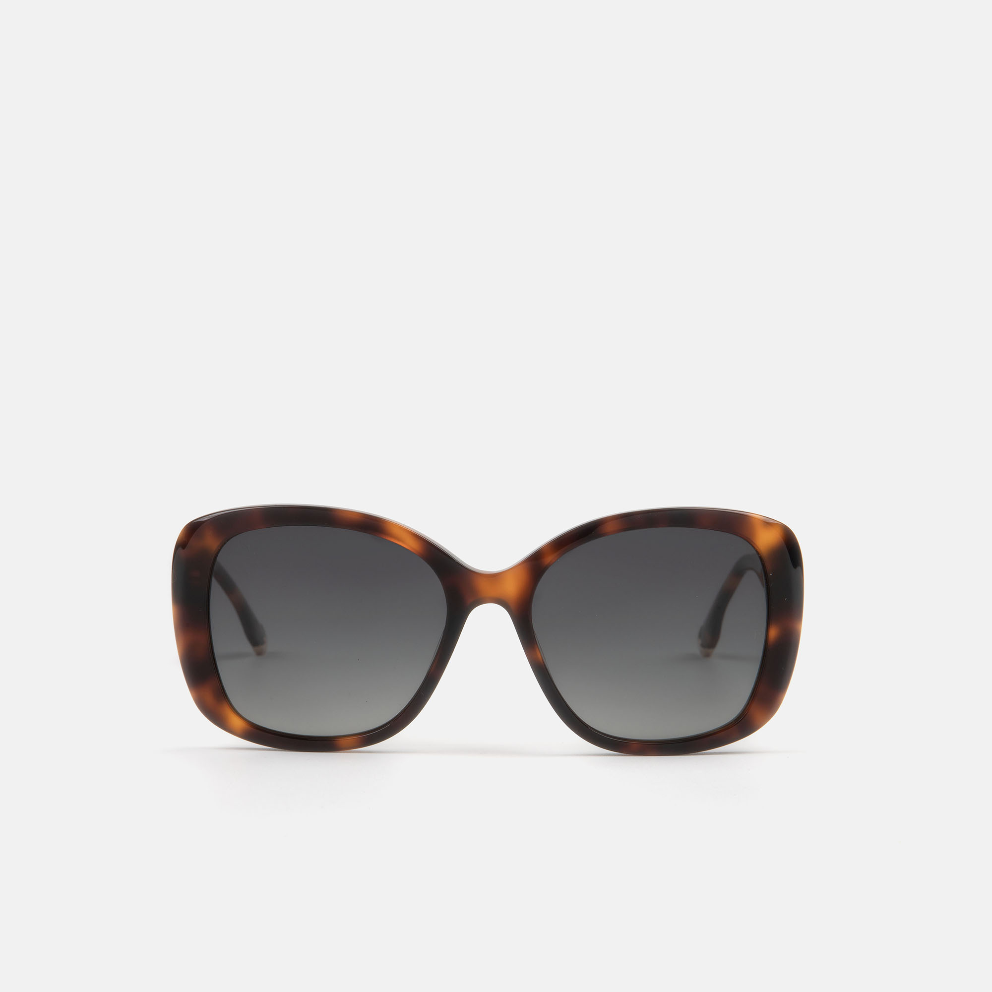 mó NEW APIS SUN, carey, hi-res